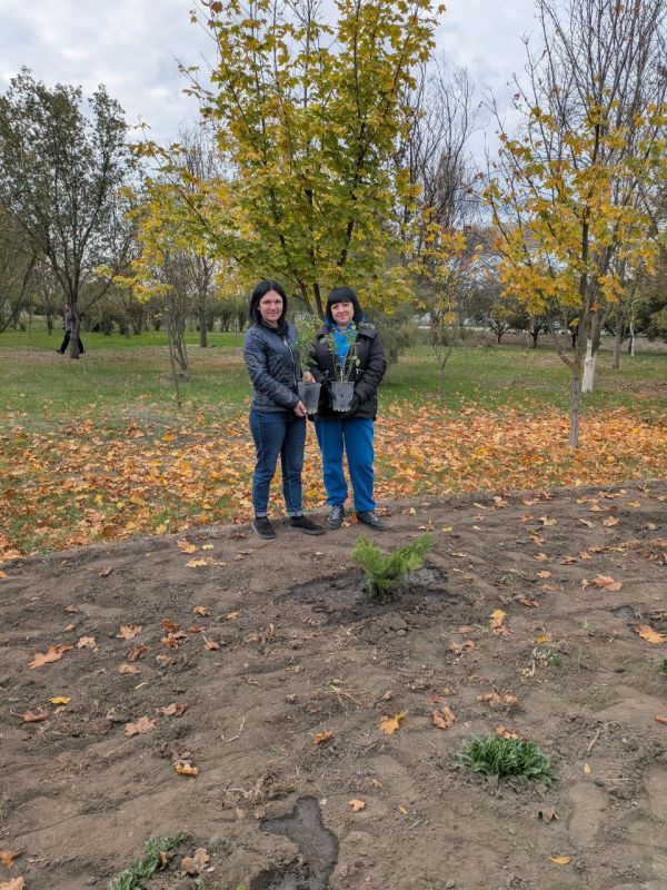 ���������� � ���������������� ��������������� ������