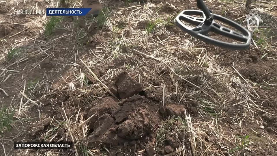 Сотрудники следственного управления СК России по Запорожской области приняли участие в поисковых мероприятиях