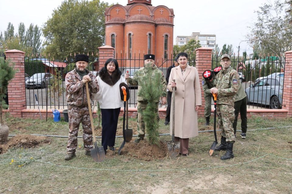 � � ���������� �������� 40 ����� � ������ ����� ���� ������