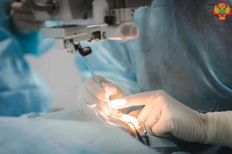 ������� ������������ ������ ������� ���������� �������� � ����������