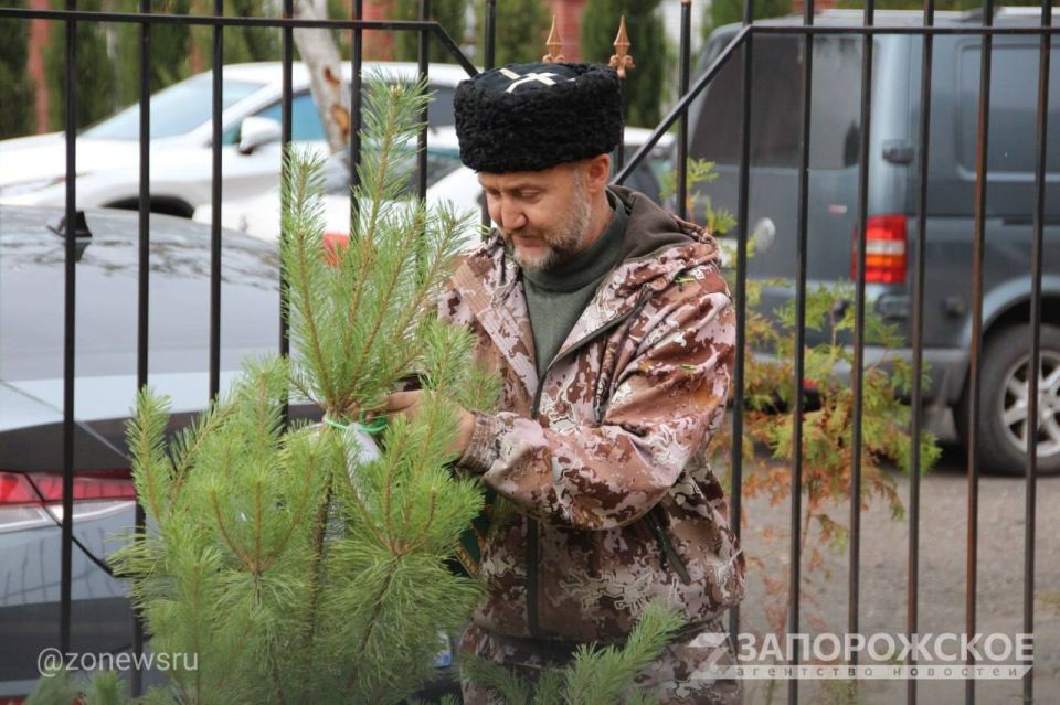 � ���������� �������� ����� �������� �����