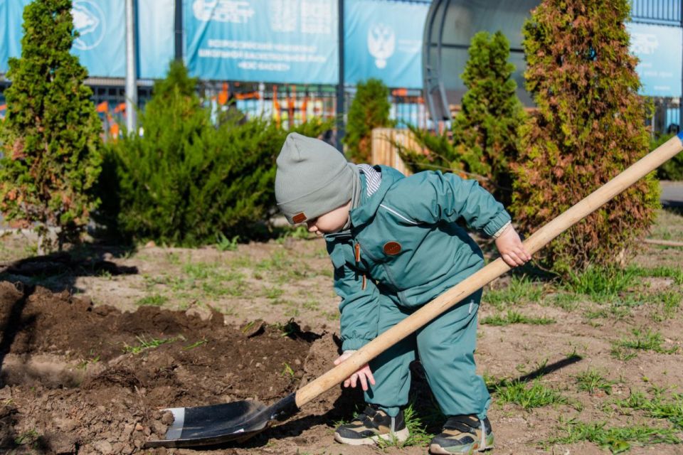 ������ ��������: � ���������� ��� ���� � ���������� ���������� ��������������� "����� �����"