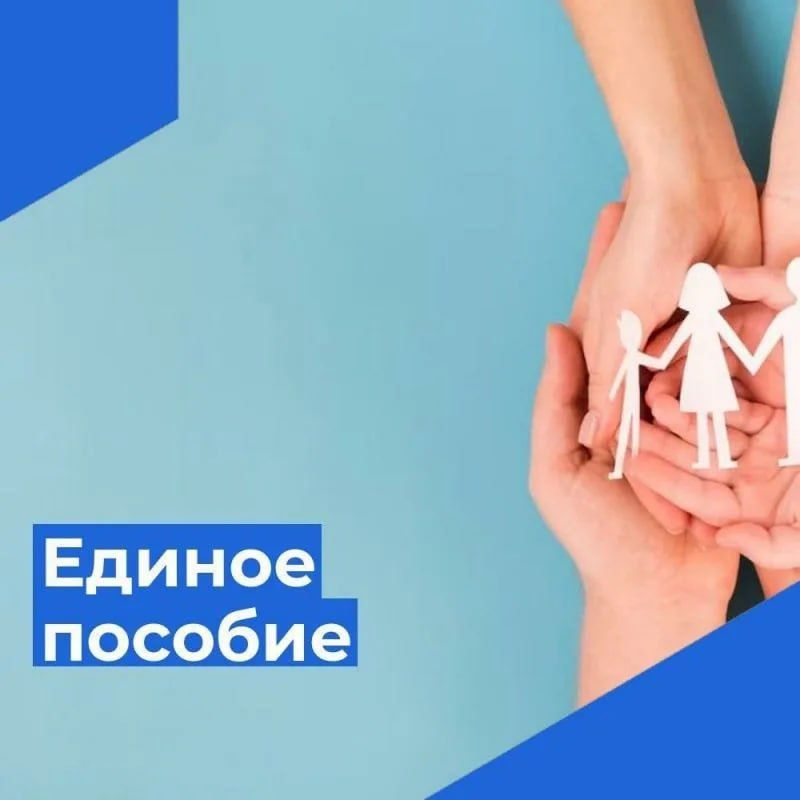 Что делать, если не одобрили единое пособие: как подать заявление повторно