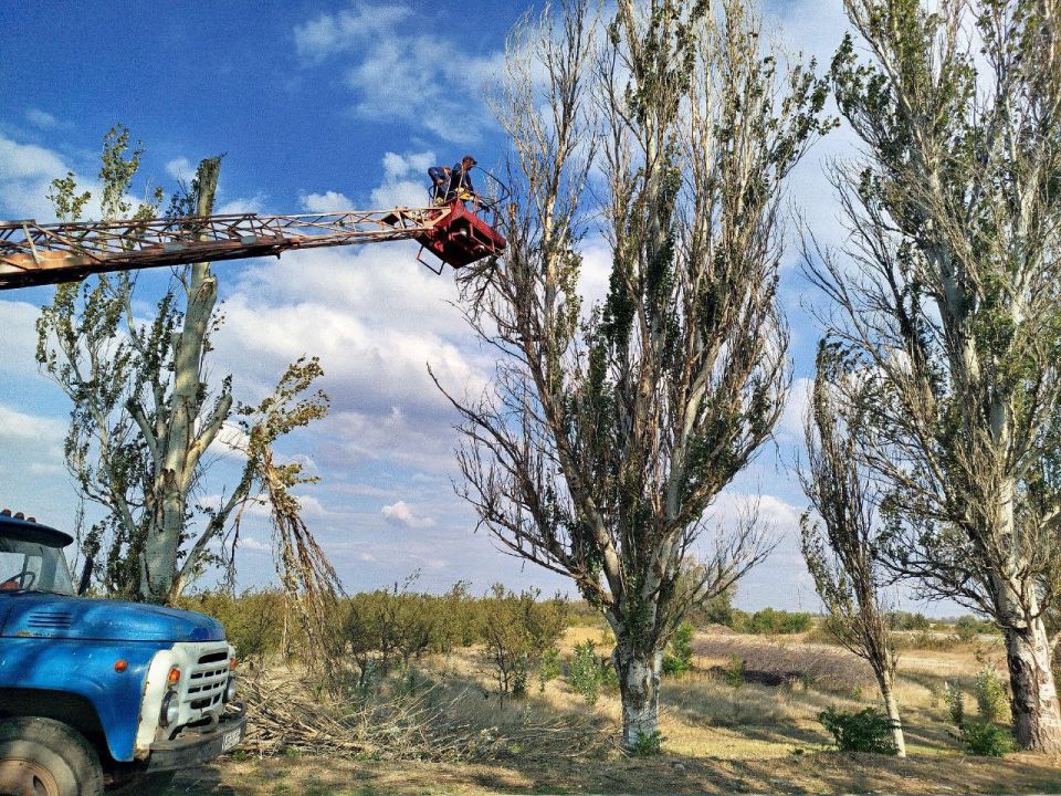 ������� ��������. ���������� ��� ���������� ������� ������ �� ������� ����� ������ �� �������� ����� � ���� �������������