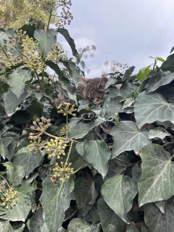 ������ ���� �� ���������� ������!