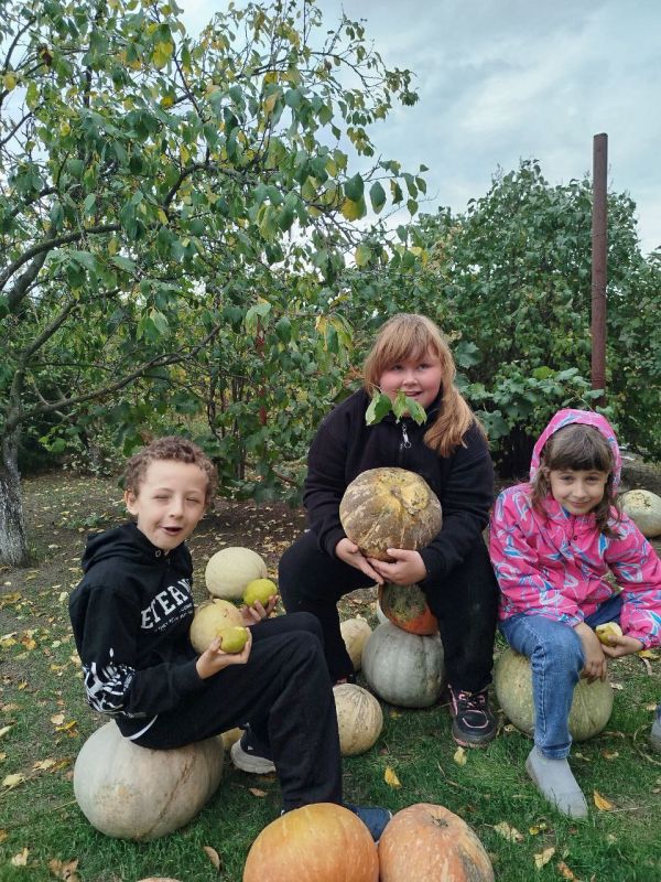 ������� �������� � ������� � ������� �����������