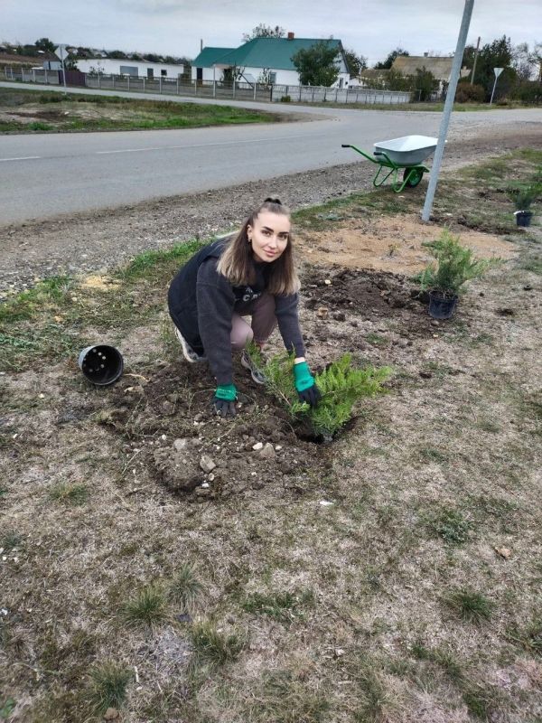 ���������� � ������������ ��������������� ������ ��� ��������� ����������� ����������� ������� ������� ����������� ���������