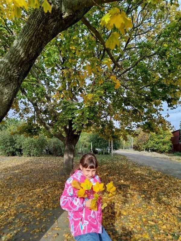 ������� �������� � ������� � ������� �����������