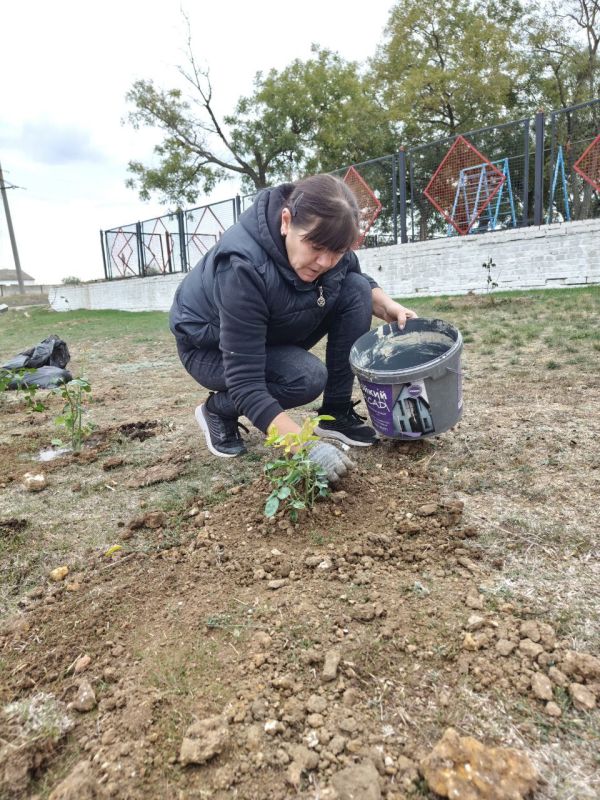 ���������� � ������������ ��������������� ������ ��� ��������� ����������� ����������� ������� ������� ����������� ���������