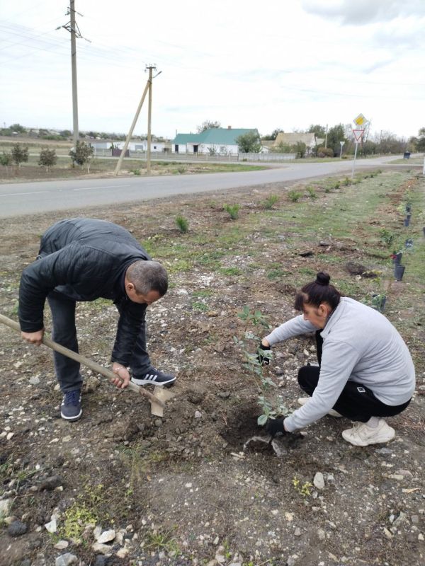 ���������� � ������������ ��������������� ������ ��� ��������� ����������� ����������� ������� ������� ����������� ���������