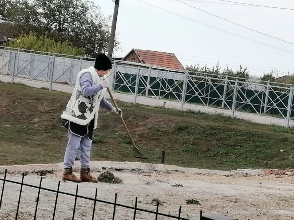 ��������� � ����� 82-� ��������� ������������ ���� ���������