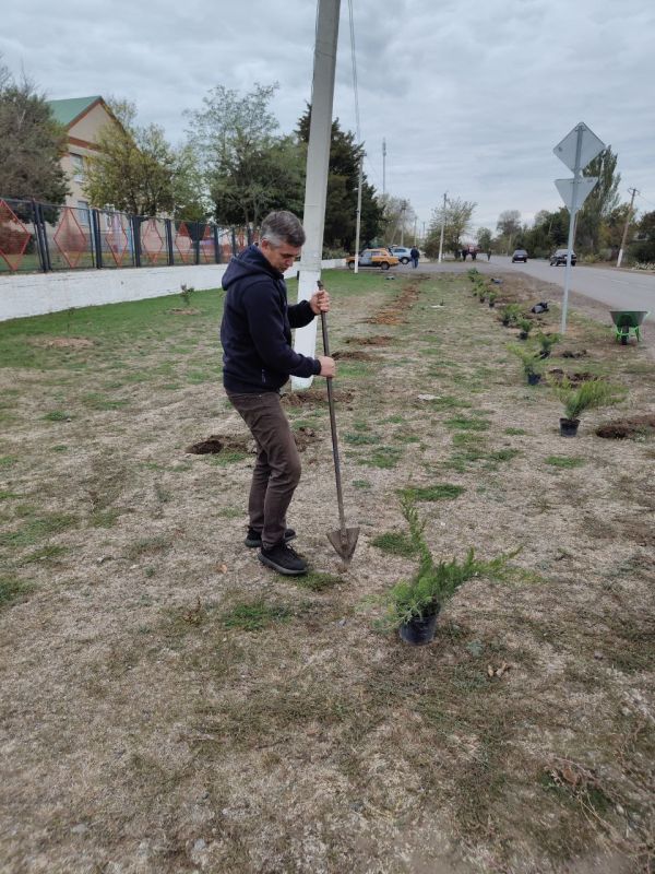 ���������� � ������������ ��������������� ������ ��� ��������� ����������� ����������� ������� ������� ����������� ���������