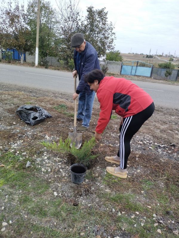 ���������� � ������������ ��������������� ������ ��� ��������� ����������� ����������� ������� ������� ����������� ���������