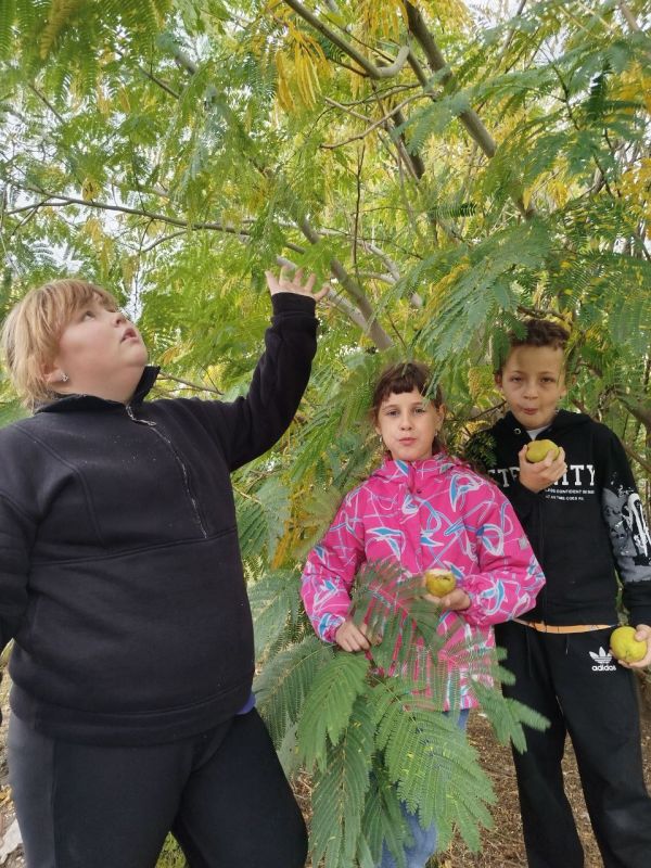 ������� �������� � ������� � ������� �����������