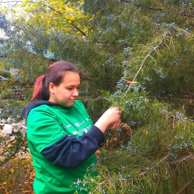 ���� �������� ��������� � ������� ����������� �������