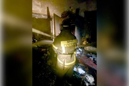 В Мелитополе на пожаре спасли пенсионерку с тремя внуками