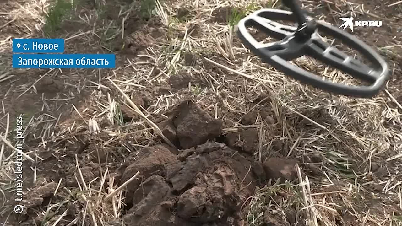 Накануне 82-летия освобождения Мелитополя почтили память павших защитников города