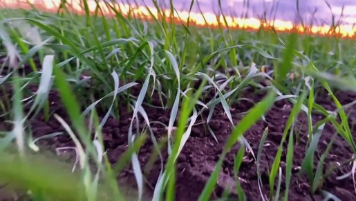Доброе утро! В суете легко пропустить маленькие чудеса вокруг