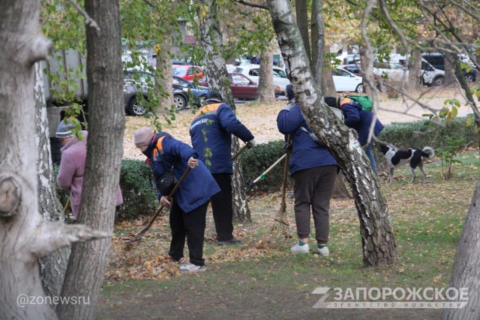 � �������������� ������ ������ ������� ������ ���������