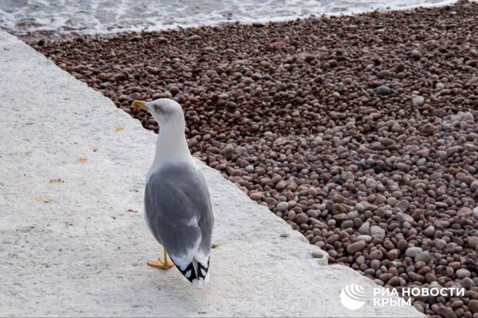 ������ �� ����� ����������� ������