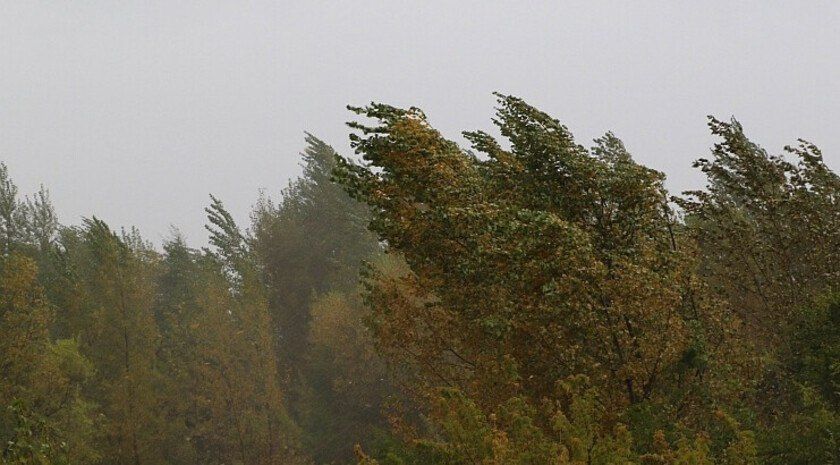 �������� ���������� ������ ����� ������ ������ � ������ ����� ������ ������