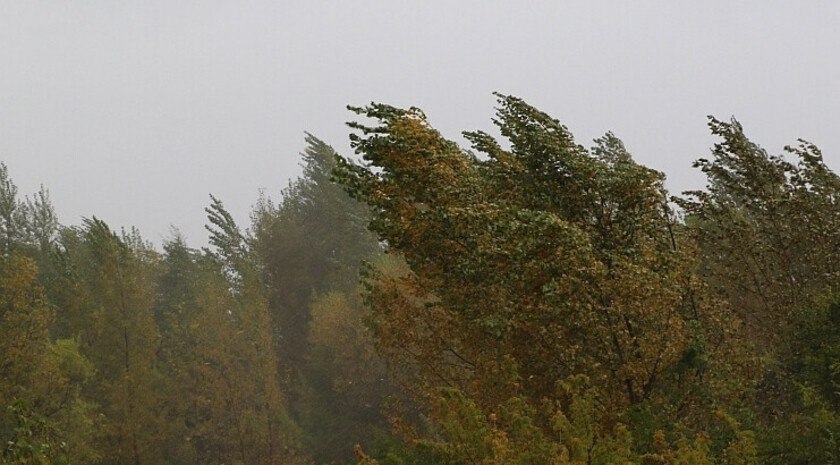 Молодежь Мелитополя зажгла более тысячи свечей в рамках акции «Свеча памяти» Молодежь Мелитополя зажгла более тысячи свечей в рамках акции «Свеча памяти»