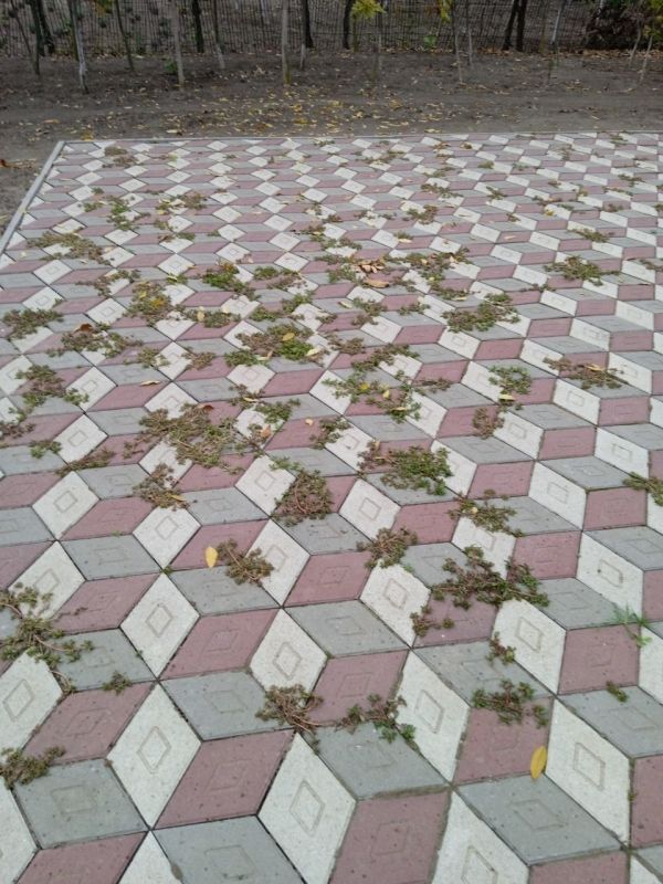 � ������� � ������. ���������� ���������� ������� ������ �� ��������������� ��������� � ��������