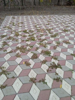 С заботой о памяти. Сотрудники «Жилсервис» провели работы по благоустройству памятника в Еленовке