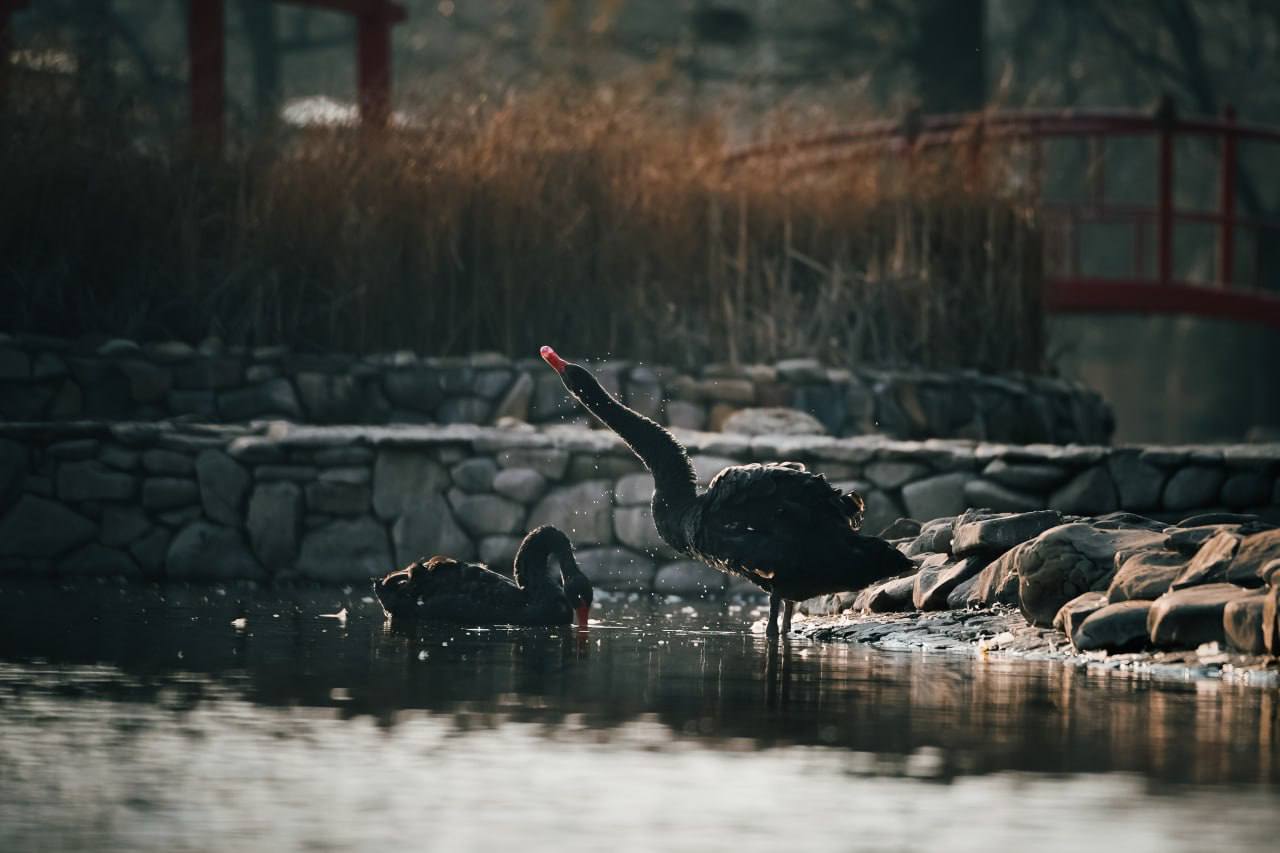 Дорогие жители Мелитополя, с Днём города! Дорогие жители Мелитополя, с Днём города!