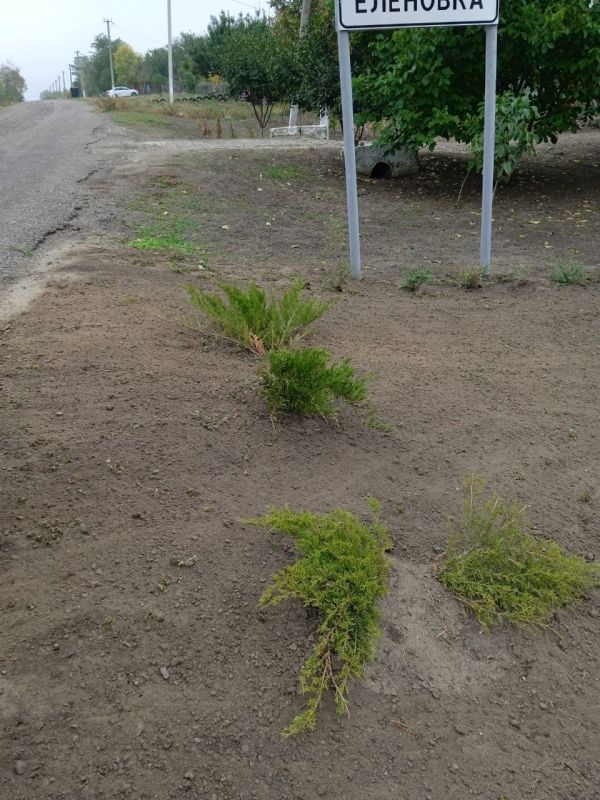 � ������� � ������. ���������� ���������� ������� ������ �� ��������������� ��������� � ��������