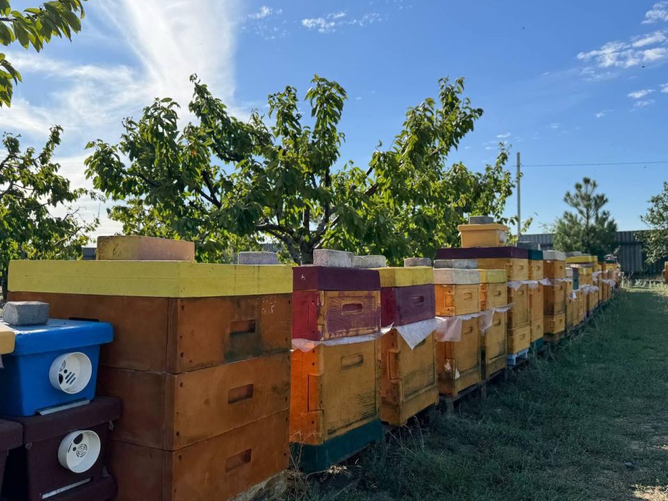 ���������� ����� � ����� �������� ����� � ������������� ���