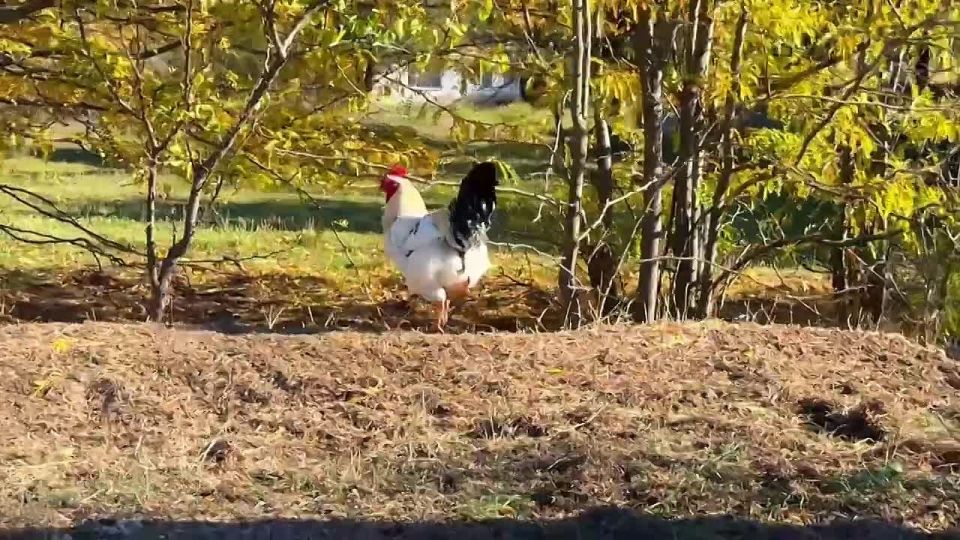 ������ ����!. �� ������ ��������