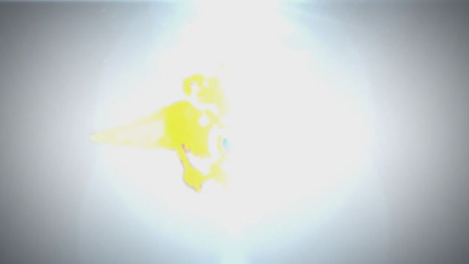 ��������, ������� ������ �� ������ ���������� �������� � �� ������� ������ ��������, �������� � ����������