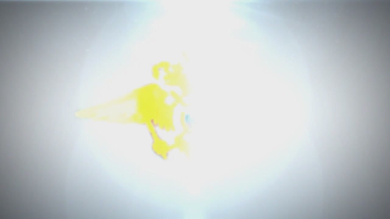 Водитель, который выехал на полосу встречного движения и не уступил дорогу пешеходу, задержан в Мелитополе