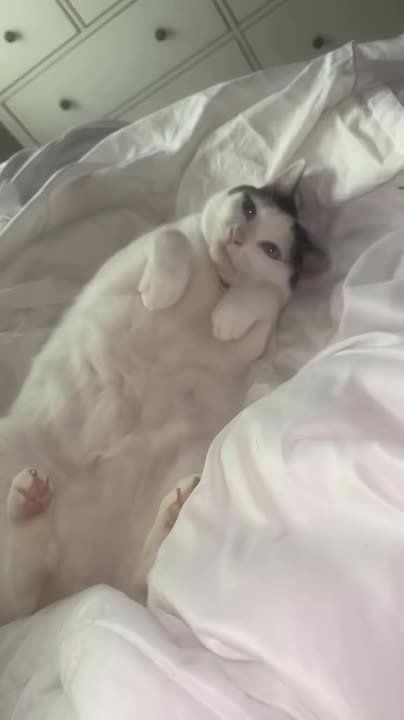 ������ ����!. ����� ����������