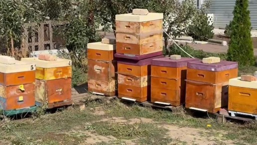 На одной из пасек в Мелитопольском районе промаркированы 100 ульев