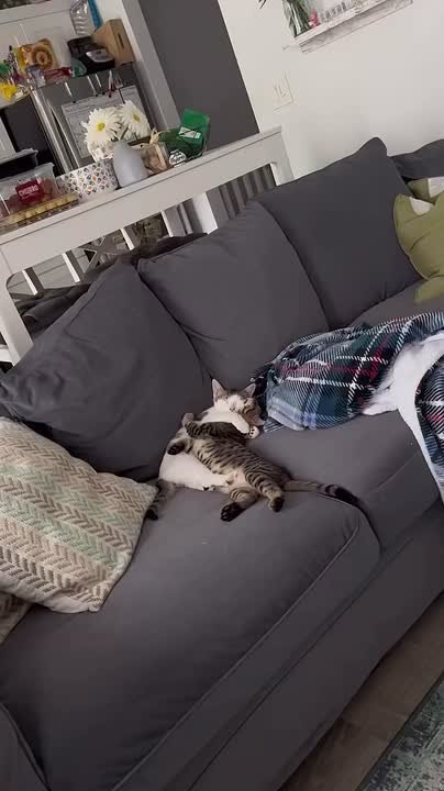 Спокойной ночи!. НОВЫЙ МЕЛИТОПОЛЬ