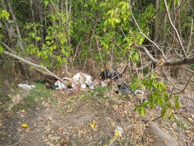 Берегите природу. В Зареченском территориальном отделе сотрудники МБУ «Жилсервис» провели уборку территории, собрав мусор, оставленный в посадках