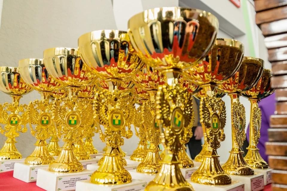 � ���������� �� ���� ������������ ������ ������� ���������� �������