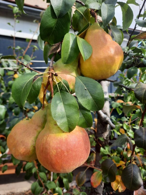 ������ ����!. ������� ����� � ������ ����!