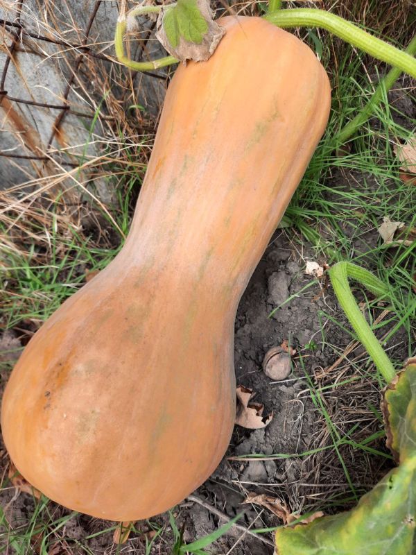 ������ ����!. ������� ����� � ������ ����!