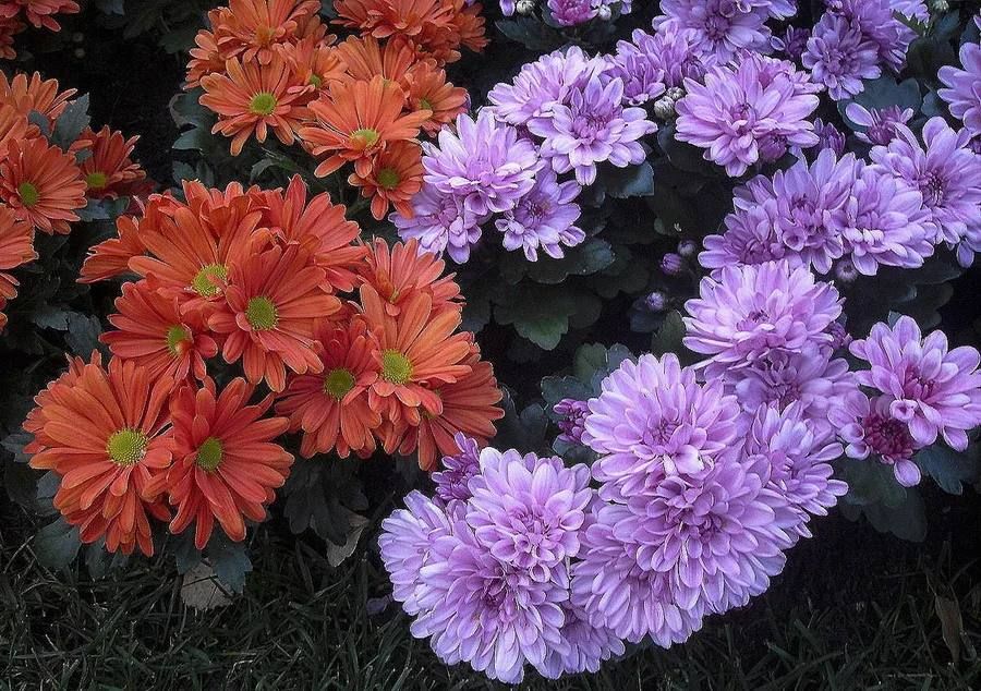 ������ ���� �� ���������� ������!