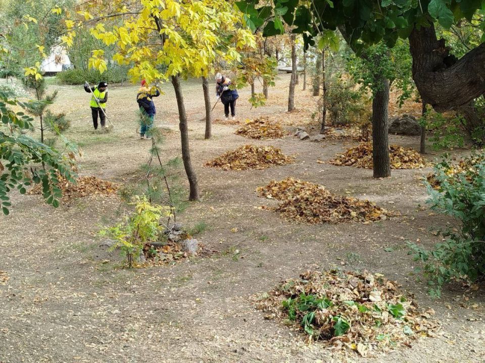 ���������� ��� ���������������� ���������� ������ ������� ������ �� ���������� ���������� ������ ����������