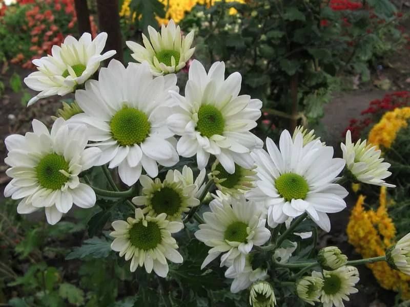 ������ ���� �� ���������� ������!