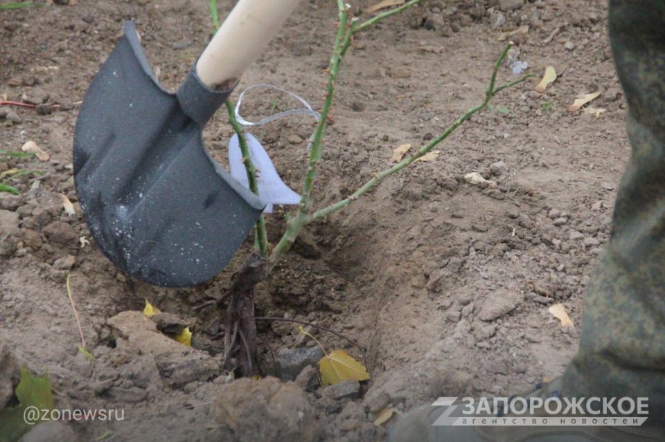 � ���������� ������ �������� ����� � 40-����� ���������� �� ���� ����� ���������