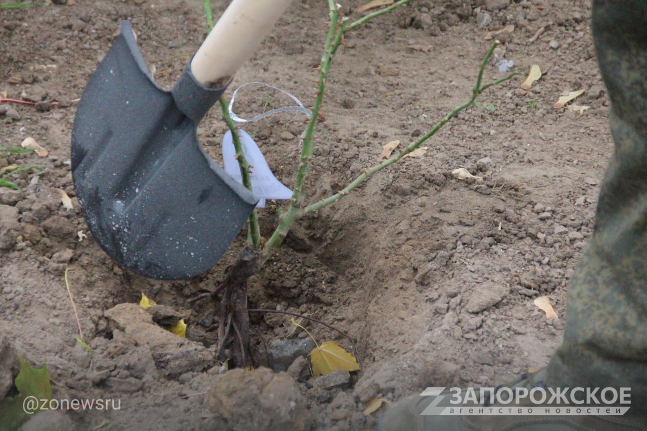 В Мелитополе прошла памятная акция к 40-летию катастрофы на ЧАЭС «Звон колоколов» В Мелитополе прошла памятная акция к 40-летию катастрофы на ЧАЭС «Звон колоколов»