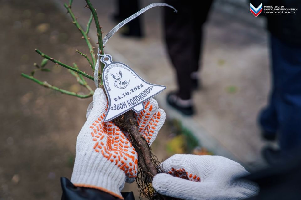 � ���������� ���������� ������� ��� � ������ � 40-����� ���������� �� ����