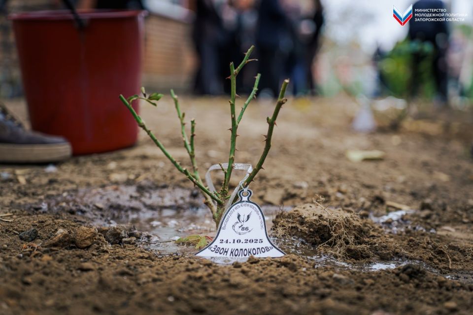 � ���������� ���������� ������� ��� � ������ � 40-����� ���������� �� ����