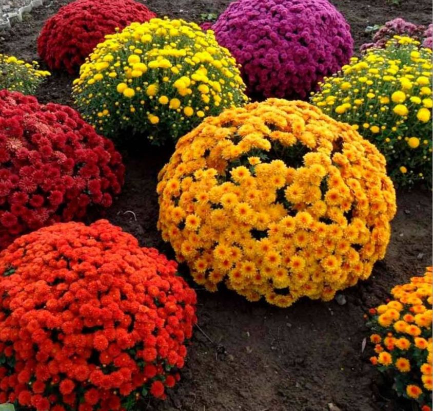 ������ ���� �� ���������� ������!