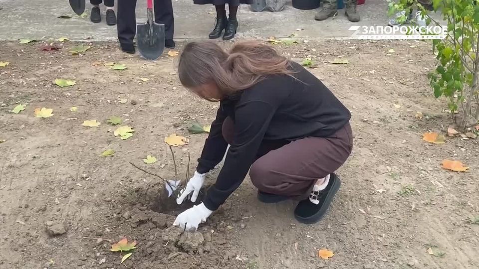 ����� ��� �������� � ���������� � ������ � ����������� �������� �� ������������� ���